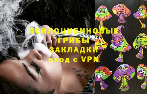 круглые Пересвет